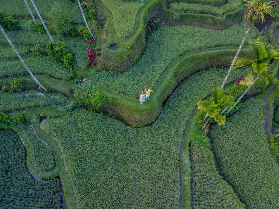 Wanderlust birthday photo and video with drone and Editing - What you receive after the camera stops
