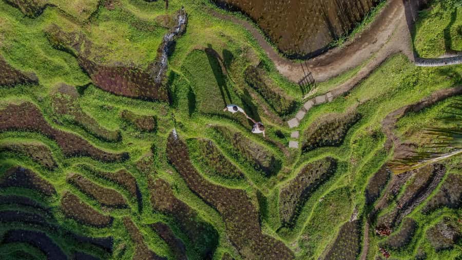Wanderlust birthday photo and video with drone and Editing - Why the photographer matters more than the backdrop