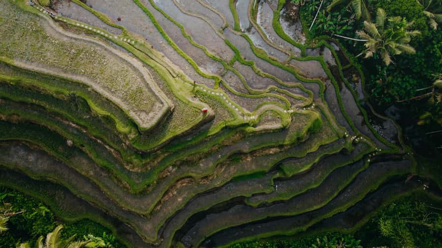 Wanderlust birthday photo and video with drone and Editing - What the two-hour timing really means