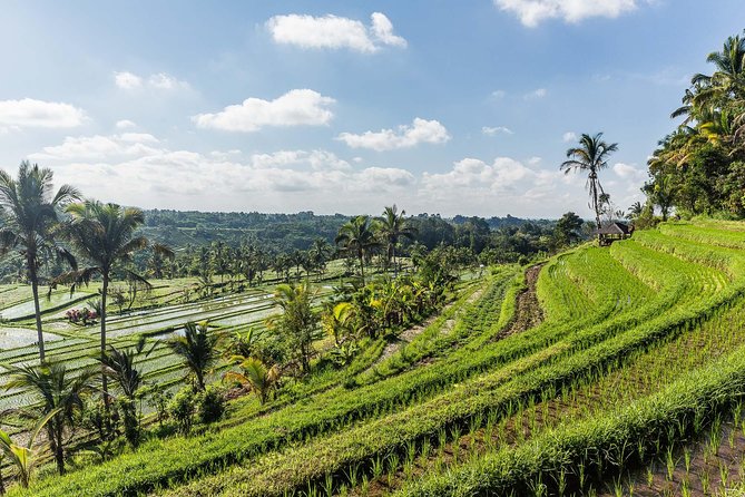 West Bali Tour: Taman Ayun, Ulun Danu Beratan, Jatiluwih Rice Terrace, Tanah Lot - Ulun Danu Bratan is the day’s most scenic temple