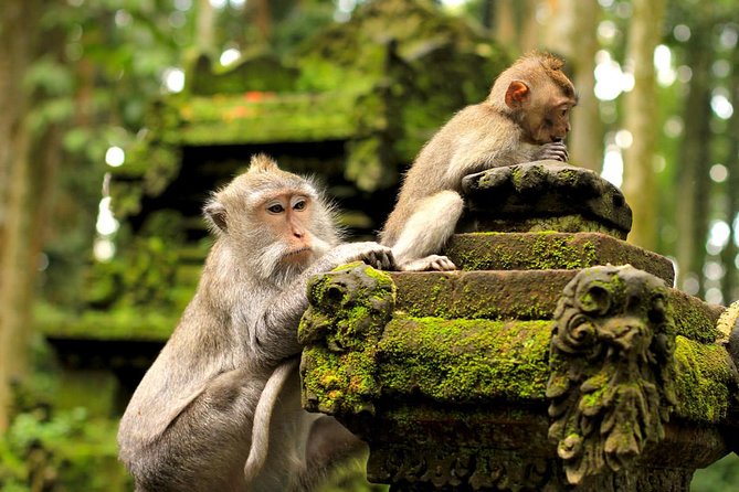 Wonderful Of Ubud Tours - Batubulan and batik craft