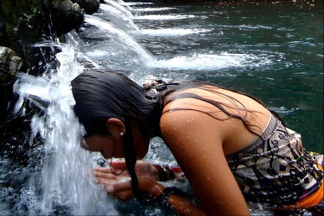 Wonderful Ubud Monkey Forest, Waterfalls, Temples and More - The Ubud Jungle Swing is optional and extra